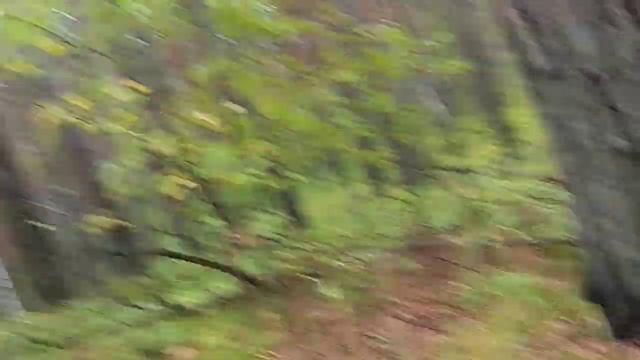 Встретил тут ёжика... смотреть онлайн