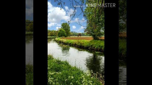 Водоём и его обитатели. смотреть онлайн