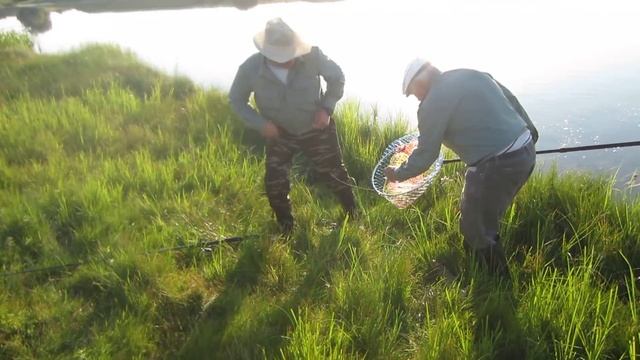 Рыбалка Селитренное, ерики смотреть онлайн