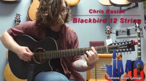 Tanglewood Blackbird 12 String