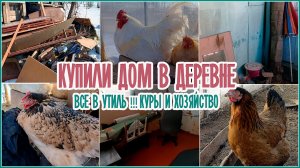 ?Купили дом в деревне _ Все в утиль ?_ Куры и хозяйство ??