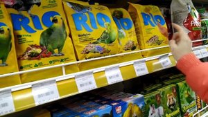 ЗООПОКУПКИ / ЗАПАСАЕМСЯ КОРМАМИ ДЛЯ ХОМКИ - ПОКУПКИ В ЗООМАГАЗИНЕ / Alisa Easy Pets