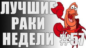 ЛРН выпуск №57. ВЫСТРЕЛЫ С ПЕРЕПОДВЫПОДВЕРТОМ [Лучшие Раки Недели]