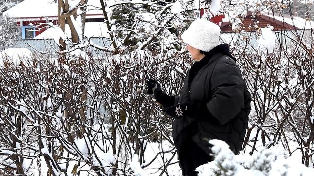 Сад или сугробы? Что нас ждёт?