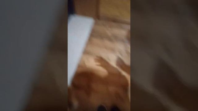 Детская заброшенная псих больница. 1 часть