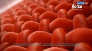 Ласка 2023 Реклама