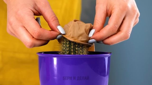 Умные и простые способы выращивания растений в домашних условиях!