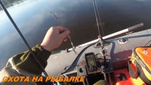 ЛОВЛЯ ОКУНЯ В ОКУНЕВЫХ КОТЛАХ