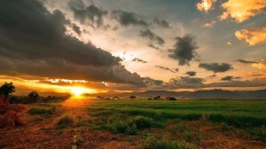 All India Radio - Lo Fi Groovy (HD)