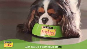 Friskies Dog v2