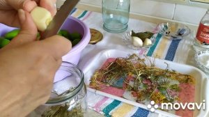 МАРИНАД ИЗ НЕЗРЕЛЫХ АБРИКОСОВ/ ՑՈԳՈԼԻ ՄԱՐԻՆԱԴ