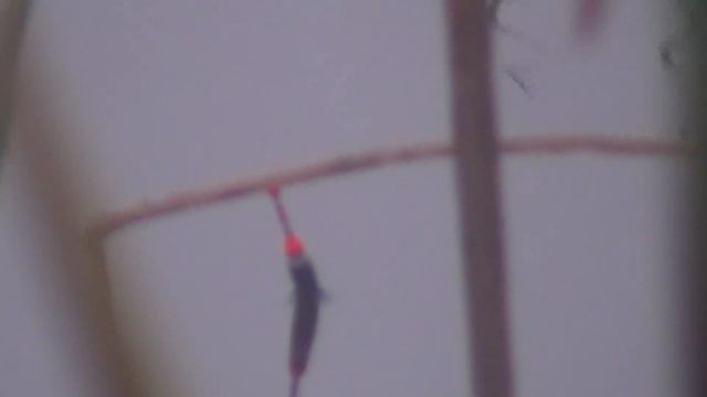 Что ловится в тростнике, новые выводы и итоги смотреть онлайн