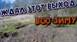 КОП ! ШУРФ и ПОИСК С МЕТАЛЛОИСКАТЕЛЕМ НА УРОЧИЩЕ