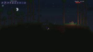 Terraria Выживание