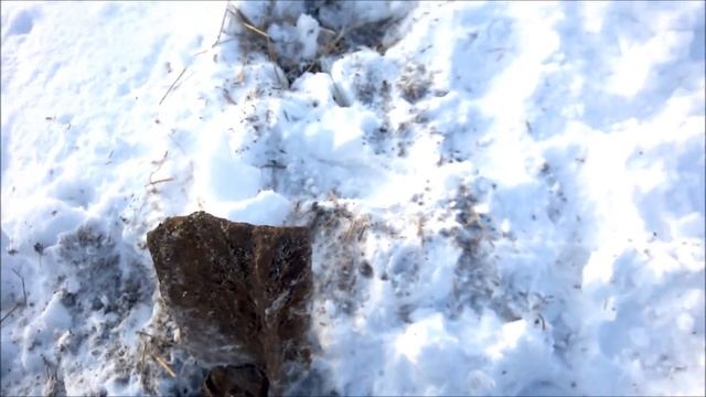 Все деньги в земле, нужно только копать! Коп хорошего металлолома 3 февраля смотреть онлайн