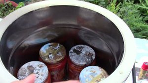 Консервы из толстолобика и сома в автоклаве