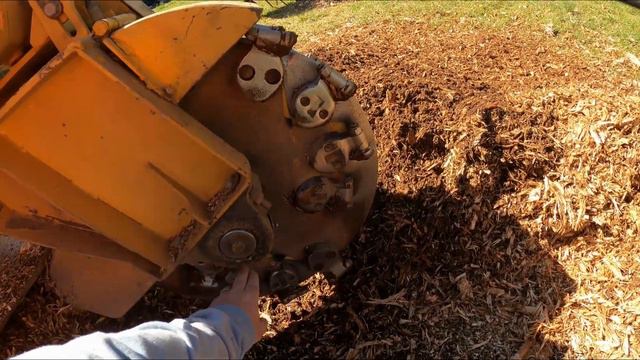 "How Deep Should You Grind a Tree Stump? Expert Tips and Techniques!" смотреть онлайн