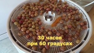 ЦУКАТЫ ИЗ КРЫЖОВНИКА - ОРИГИНАЛЬНОЕ ЛАКОМСТВО!