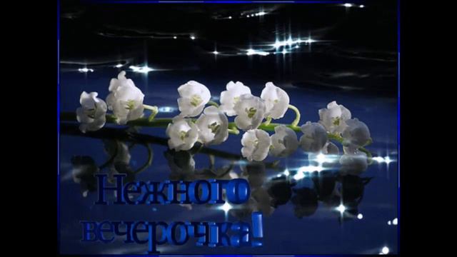 Нежного  вечера   Вера  Верба  Туз  Валет смотреть онлайн