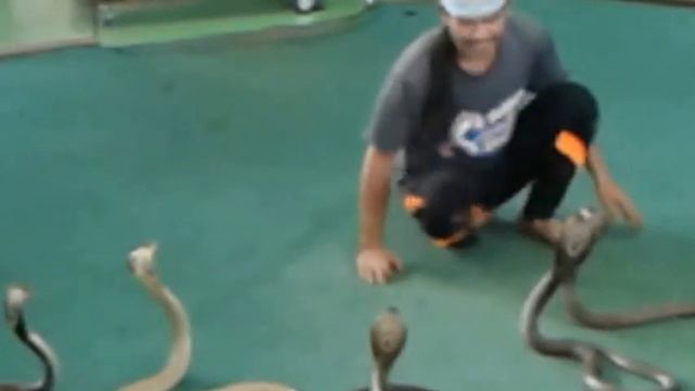 Таиланд Патайя 2017 смотреть онлайн