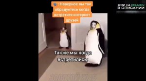тикток стал злым | подборка мемов