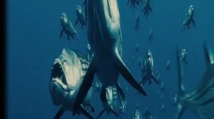 Опасные морские динозавры - гиганты, повелители морских глубин и необычные существа древних морей