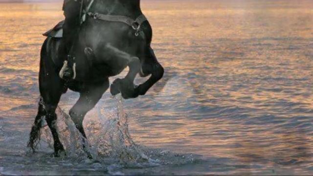 *** Владимир Высоцкий - Иноходец *** Видео на песню Высоцкого смотреть онлайн