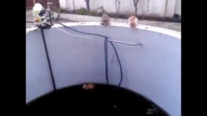 Приколы! Улётные приколы!!!