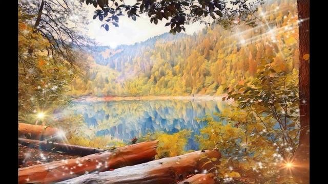 Квантовая Гармонизация Организма