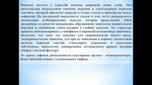 Животные (Часть 83) - Класс Асцидии