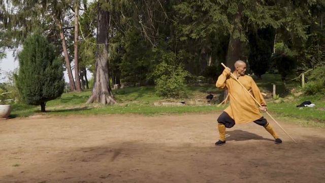 少林棍 Shaolin Yin Yang Staff by Master Shi Heng Yi of Shaolin Temple Europe 少林功夫 Deutschland Laniakea смотреть онлайн