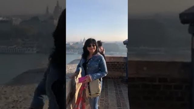 Смотровая площадка Будайского дворца в Будапеште. смотреть онлайн