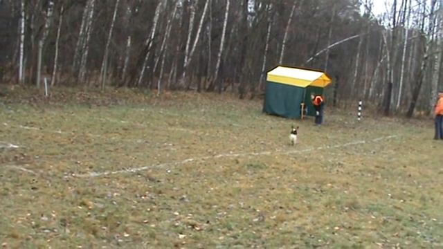 Ричи/фризби/ясенево 4.11.11 смотреть онлайн