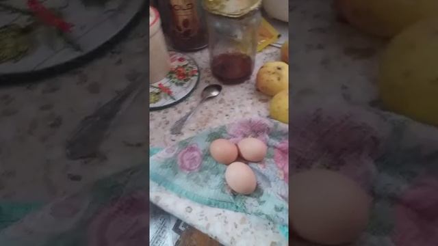 первые яйца кур породы кучинская юбилейная.