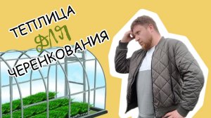 Как построить теплицу?