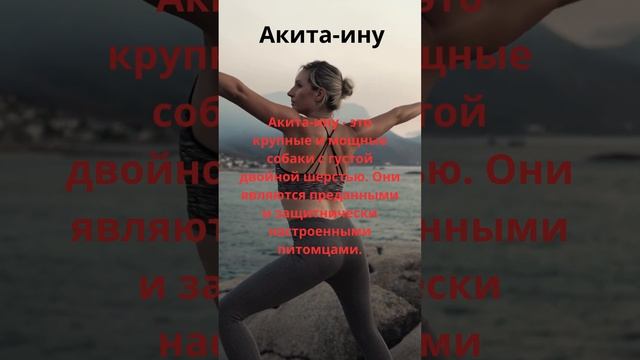 #Девушки  #юмор #факты #love #шутки #собаки