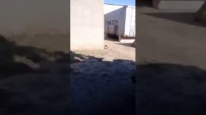 #Установить датчик уровня топлива #спутниковый мониторинг на трактор Джон Дир 7930 #глонасс контрол