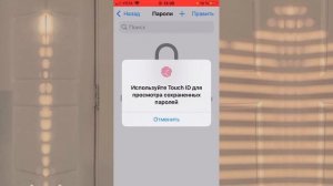 Забыли пароль от любого приложения на iOS? Ответ тут