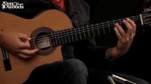 Flametal Tangos - Ben Woods Signature Flamenco Guitar - Acoustic