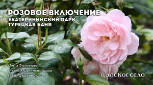 Розовое включение. Турецкая баня в Екатерининском парке