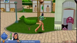 The Sims 2: Pets - PSP Gameplay