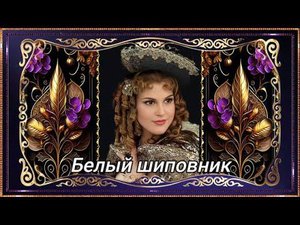 Белый шиповник.