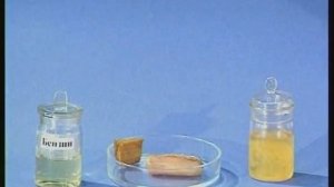 Опыты по химии. Отношение резины и каучука к органическим растворителям