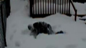 slow motion dive into snow bank