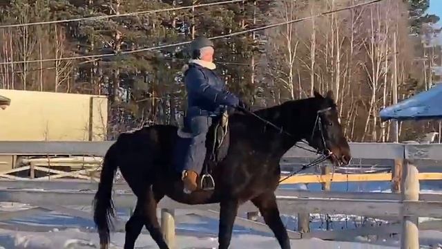 Софья на Картахене учебная рысь смотреть онлайн