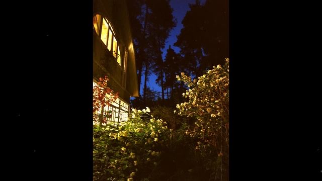 ??ЗАПОЛНЯЮ СКЕТЧБУК ЗА НЕДЕЛЮ (акрил, акварелька)☕✨?? | рисую в квадратном скетчбуке | art challeng смотреть онлайн