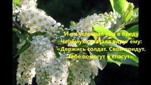 Бойцам России на СВО посвящается Позывной - "Черёмуха" стих Зои Кизяевой.mp4