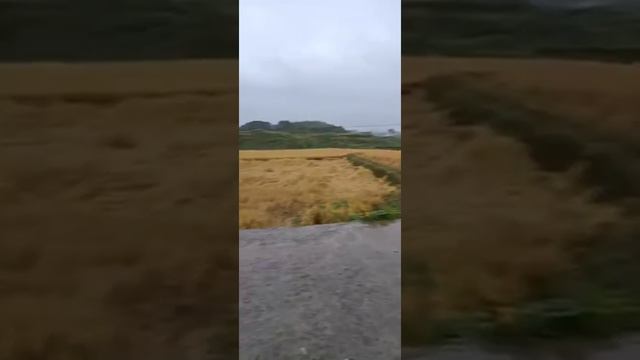 для установки гильз под тросовое дорожное ограждение и для погружения дорожных знаков смотреть онлайн