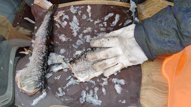 Готовим щуку. Жареная щука быстро и вкусно. смотреть онлайн