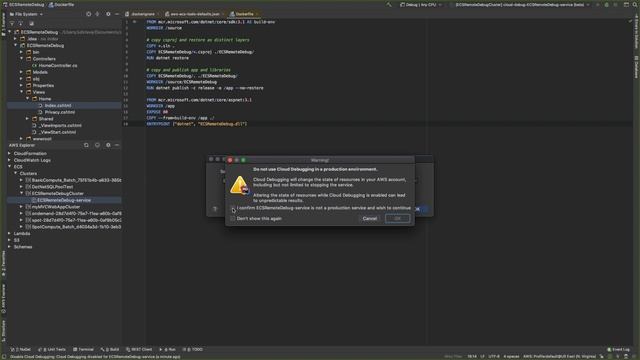 Debug .NET Applications Running in Amazon ECS with AWS Toolkit for JetBrains Rider смотреть онлайн